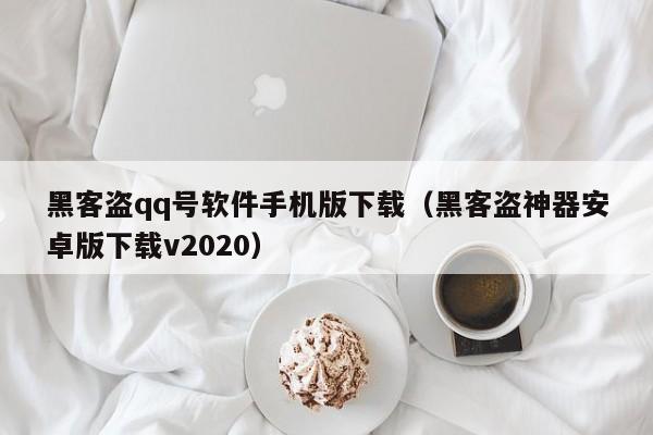 黑客盗qq号软件手机版下载（黑客盗神器安卓版下载v2020）